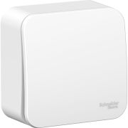 Выключатель 1-кл. ОП Blanca 10А IP20 (сх. 1) 250В бел. SE BLNVA101001